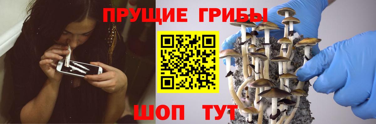Псилоцибиновые грибы Psilocybe  Вход с VPN  что такое наркотик  Галлюциногенные грибы мицелий  Туймазы 