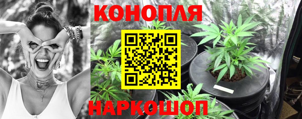 Шишки марихуана планчик  Вход с VPN  Марихуана SATIVA & INDICA  Шишки марихуана тримм  Туймазы  МАРИХУАНА индика 